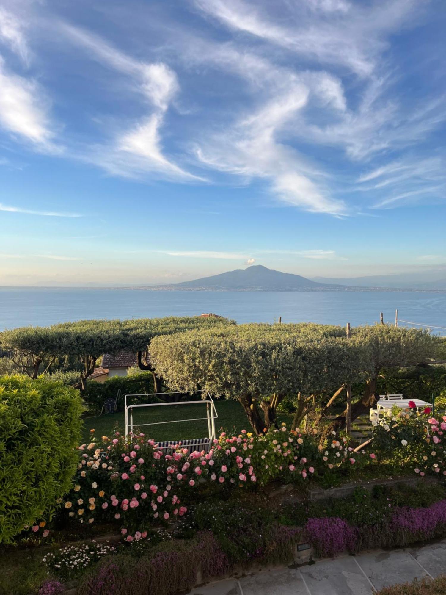 Отель Sorrento Garden Экстерьер фото