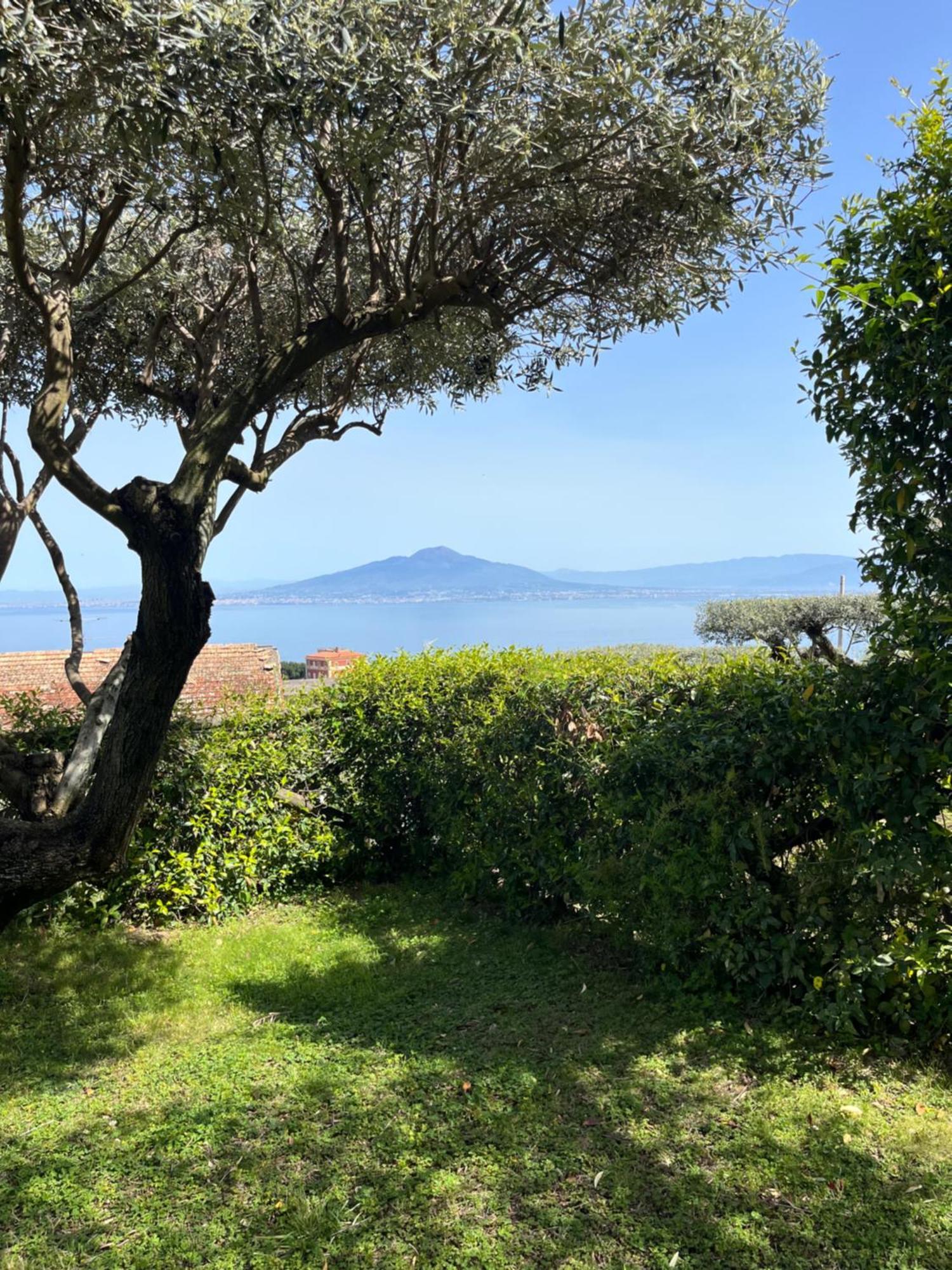 Отель Sorrento Garden Экстерьер фото
