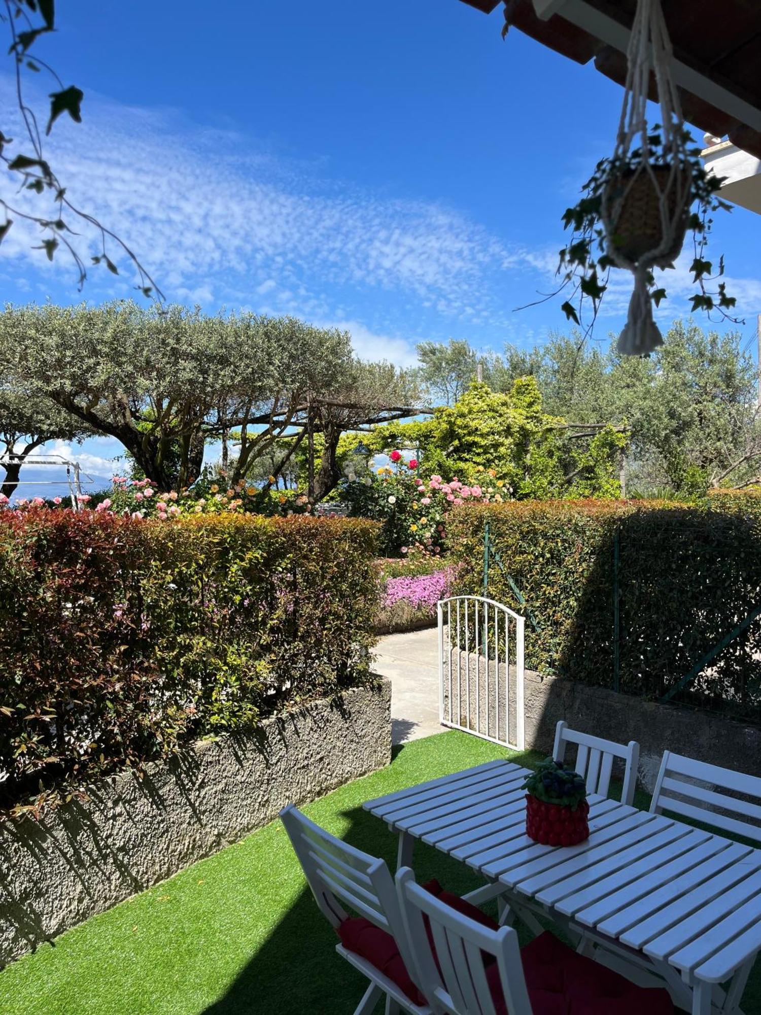 Отель Sorrento Garden Экстерьер фото