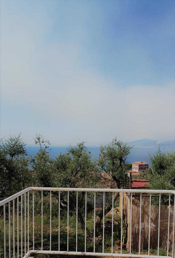 Отель Sorrento Garden Экстерьер фото