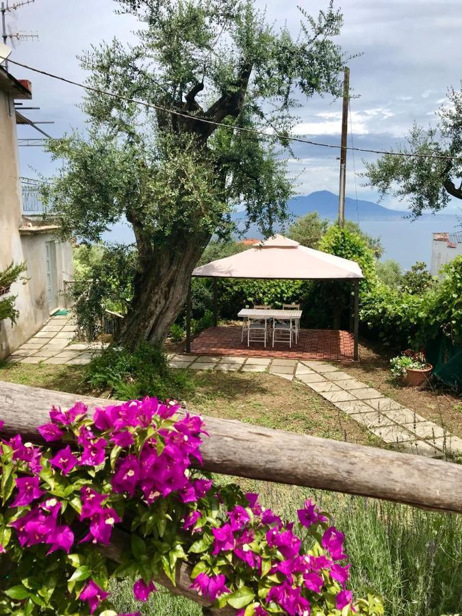 Отель Sorrento Garden Экстерьер фото