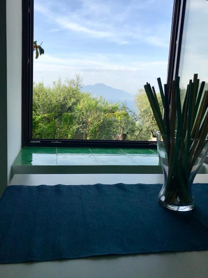 Отель Sorrento Garden Экстерьер фото