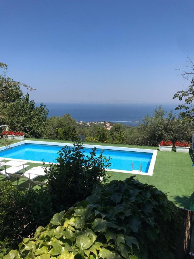 Отель Sorrento Garden Экстерьер фото